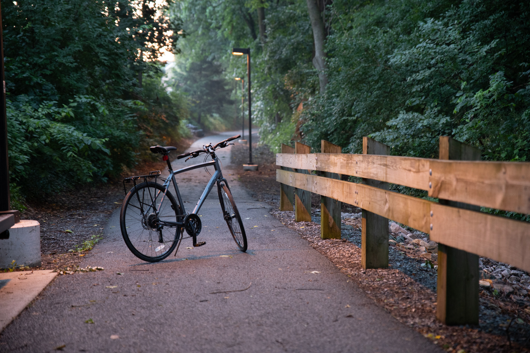 local rides and bike rentals